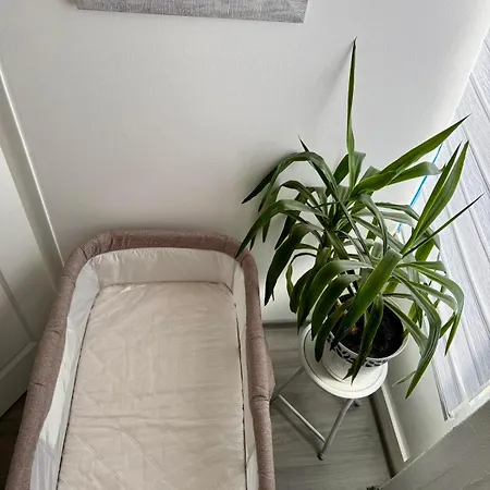 M Διαμέρισμα